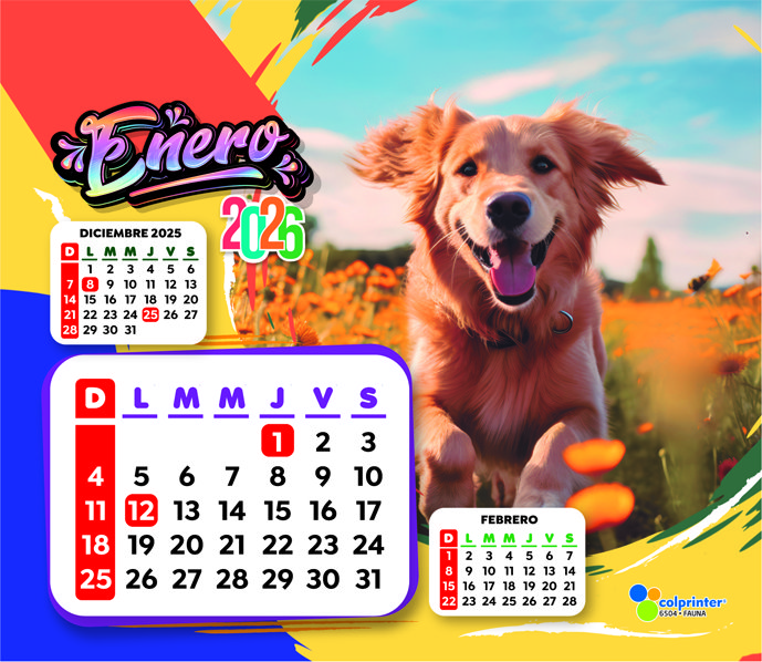 escritoriofaunaenero 1