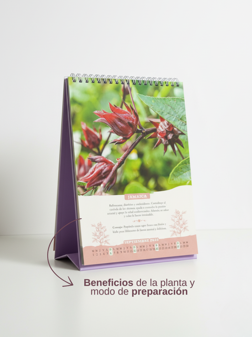 programadorherbarium