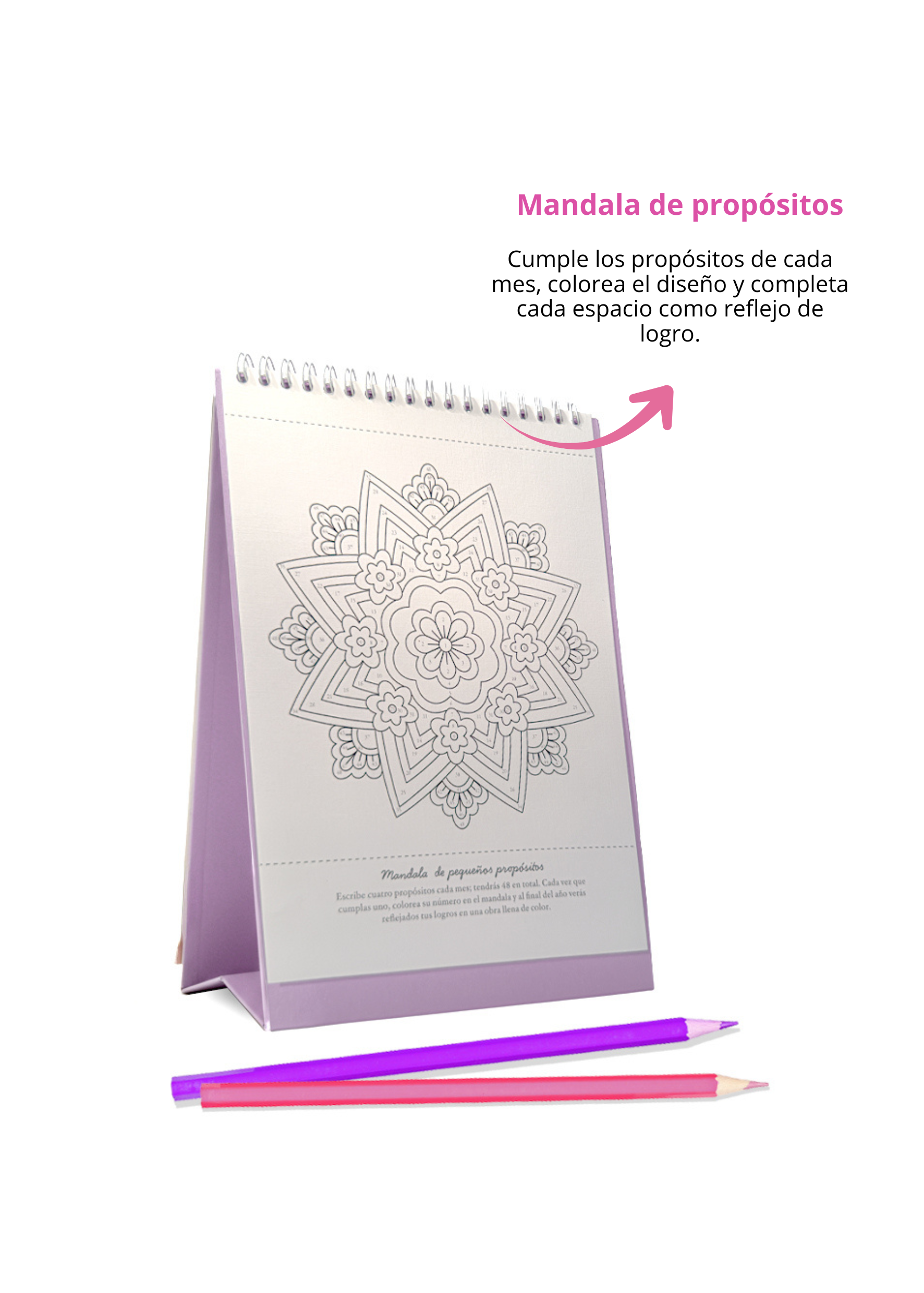 propositosmandala2026